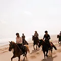 Horse Riding
